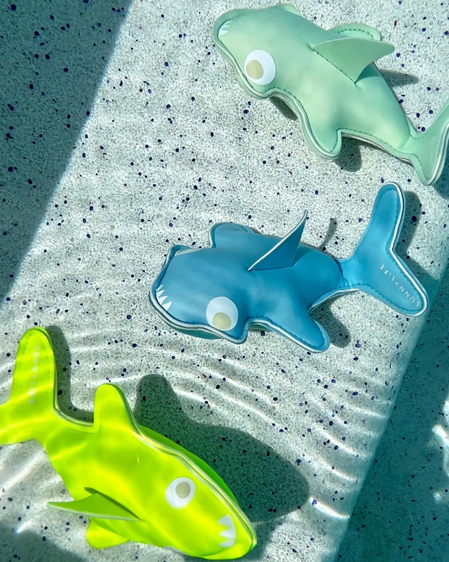 Pool toys 