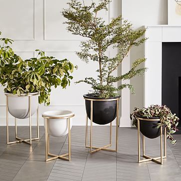 Eden Cross Base Brass Standing Planter | West Elm (US)