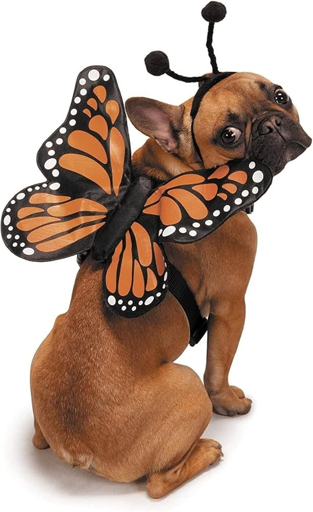Zack & Zoey Butterfly Glow Harness Costume for Dogs, Large | Amazon (US)