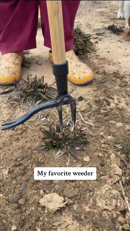 Are you constantly bending over pulling weeds? 🌱 Well, let me turn you on to the only weed puller you will ever need! 🌟 Say goodbye to sore backs and endless tugging, because this magical tool makes weeding super easy and fun.
Grab Yours Here: https://amzn.to/43WDWMc

Imagine strolling through your garden, effortlessly plucking out those pesky invaders with a flick of the wrist. 🌿 No more wrestling matches with stubborn roots—this wonder gadget pulls them out with roots and all! 💪 It's like giving your garden a spa day, leaving it refreshed and weed-free.

And hey, who says weeding can't be a zen activity? With our weed puller, you'll find yourself actually enjoying the process. 🧘‍♂️ Plus, think of all the extra time you'll have to sip lemonade and admire your beautiful, weed-free oasis.

So why wait? Treat yourself (and your garden) to the ultimate weeding experience. Trust us, once you go weed puller, you'll never go back! 🌼 #gardengoals #WeedControl #weeds #weedlife #gardentools #amazonfinds #founditonamazon #amazonfind

#LTKhome #LTKSeasonal #LTKVideo