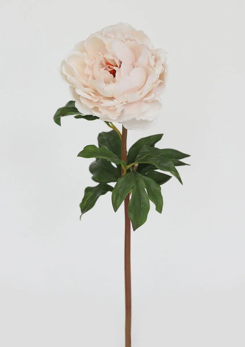 Blush Real Touch Peony - 20.5 | Afloral