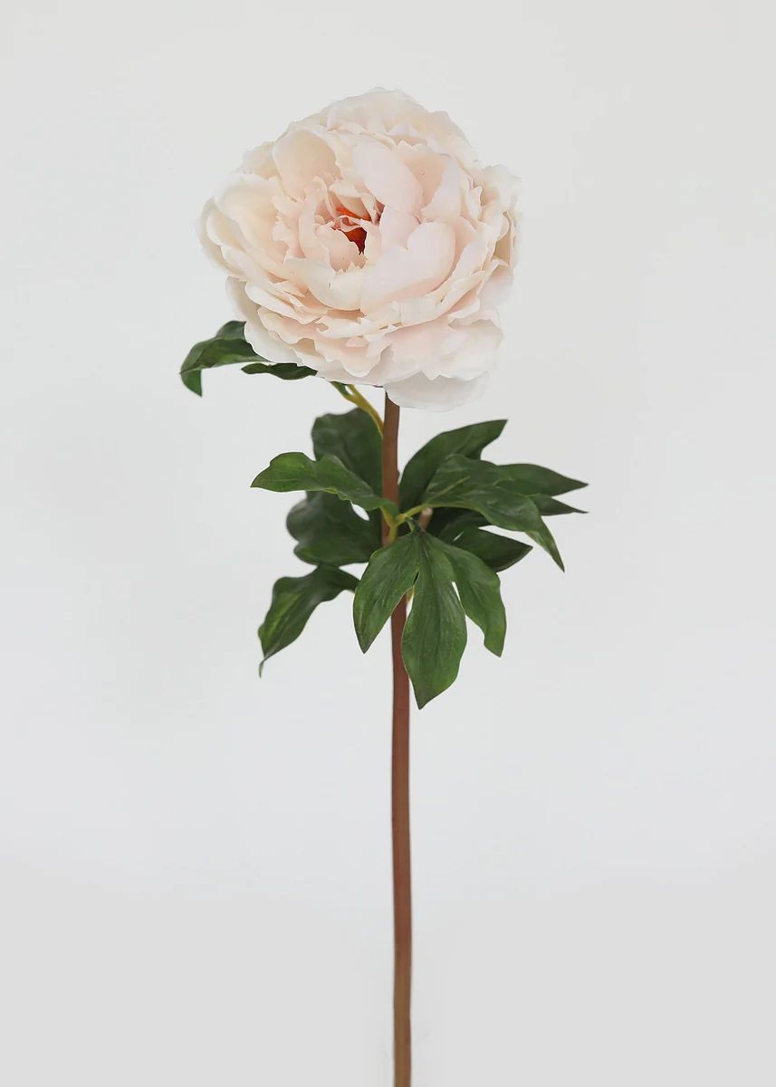 Blush Real Touch Peony - 20.5 | Afloral