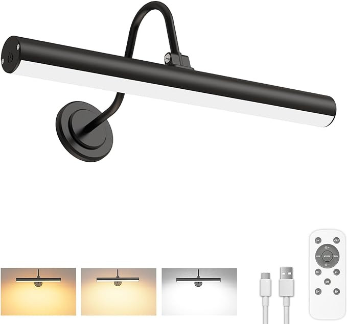 Bridika Picture Light Battery Operated, Picture Light for Wall with Remote, 3 Color Modes and Dim... | Amazon (US)