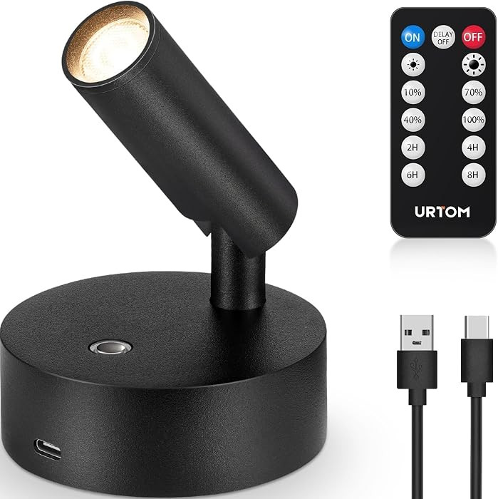 Spot Lights Indoor with Remote Rechargeable Picture Light Battery Operated Spotlight with Timer D... | Amazon (US)