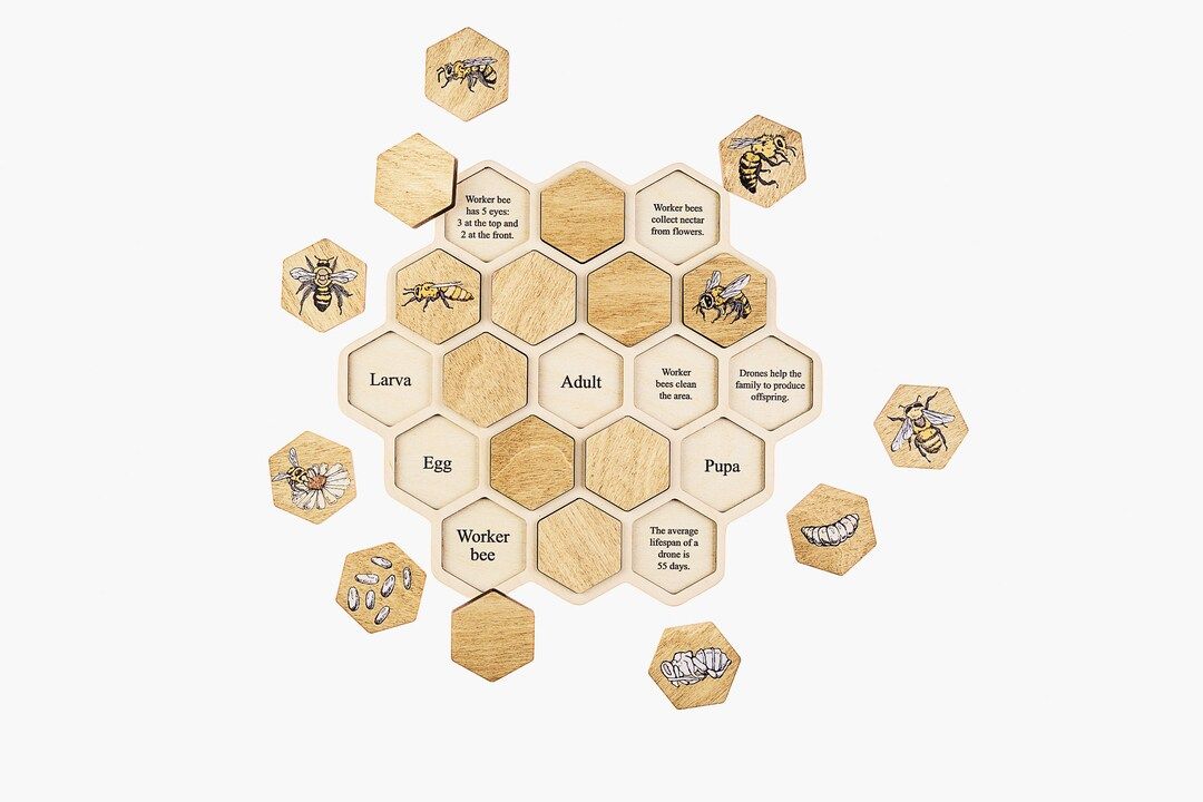Bee Puzzle Honeycomb Bee Life Cycle Baby Girl Giftbee - Etsy | Etsy (US)
