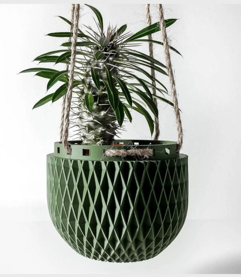 Memorial Day sale on these cute planters! They come in 3”-8” sizes and tons of color options. I ordered 1 of each design on 6” banana yellow color! They will be perfect for my hanging succulents!

#LTKSaleAlert #LTKHome #LTKSeasonal