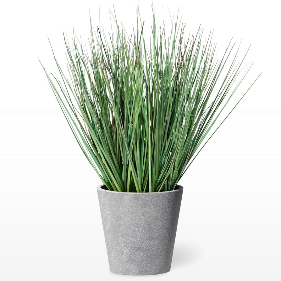 Torre & Tagus 16" Artificial Onion Grass in Textured Gray Round Pot, Faux Grass Plant & Tall Foli... | Amazon (US)