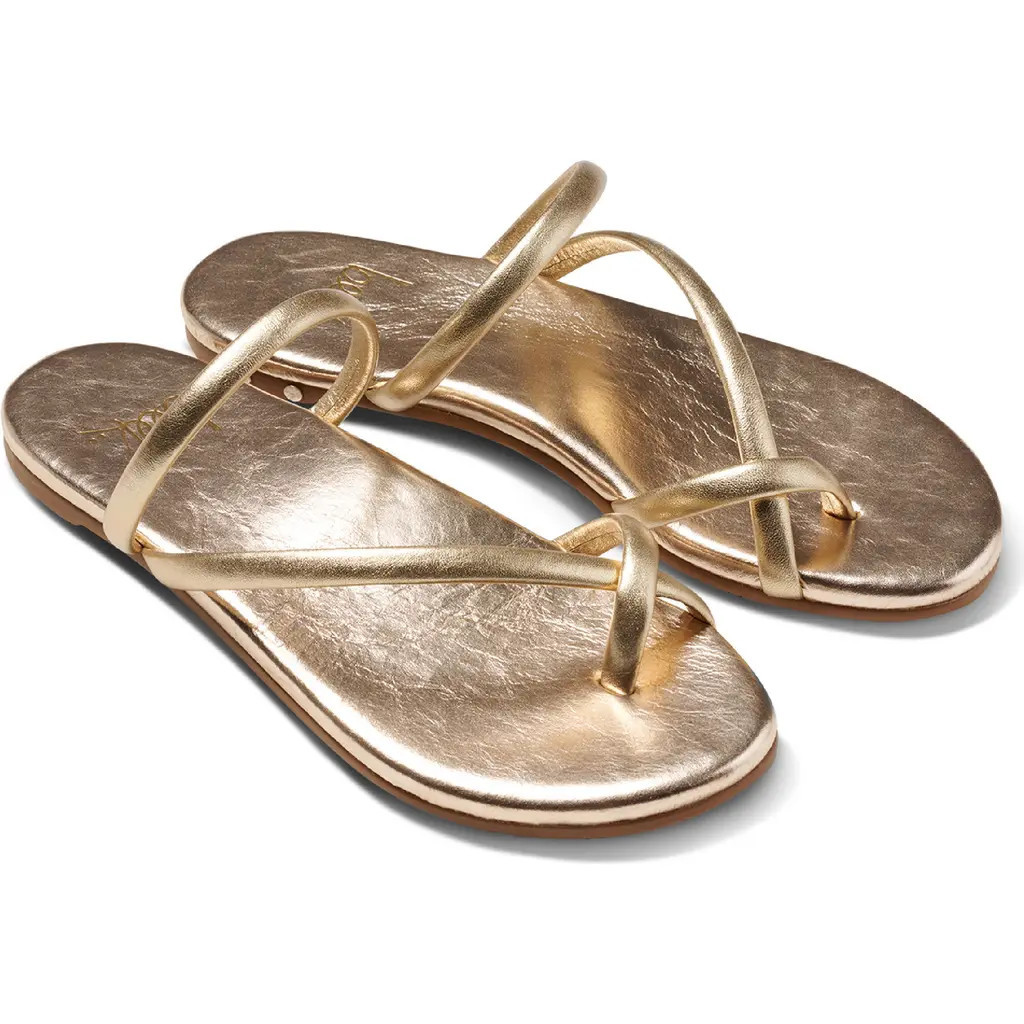 Beek Sunbird Slide Sandal in Gold at Nordstrom, Size 9 | Nordstrom