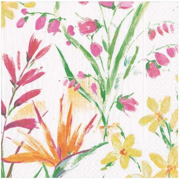 Caspari Brushstroke Floral Paper Cocktail Napkins, Two Packs of 20 | Amazon (US)