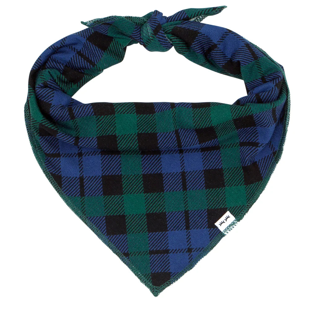 Emerald Plaid Pet Bandana | Little Sleepies