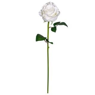 12 Pack: White Faux Rose by Ashland® | Michaels Stores