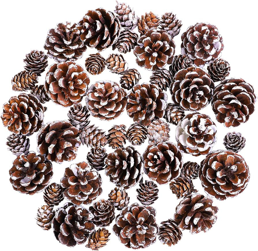 Cooraby Christmas Pine Cones Natural Snow 20 Pieces 4-6 cm Pine Cones and 30 Pieces 2-3 cm Micro-... | Amazon (US)