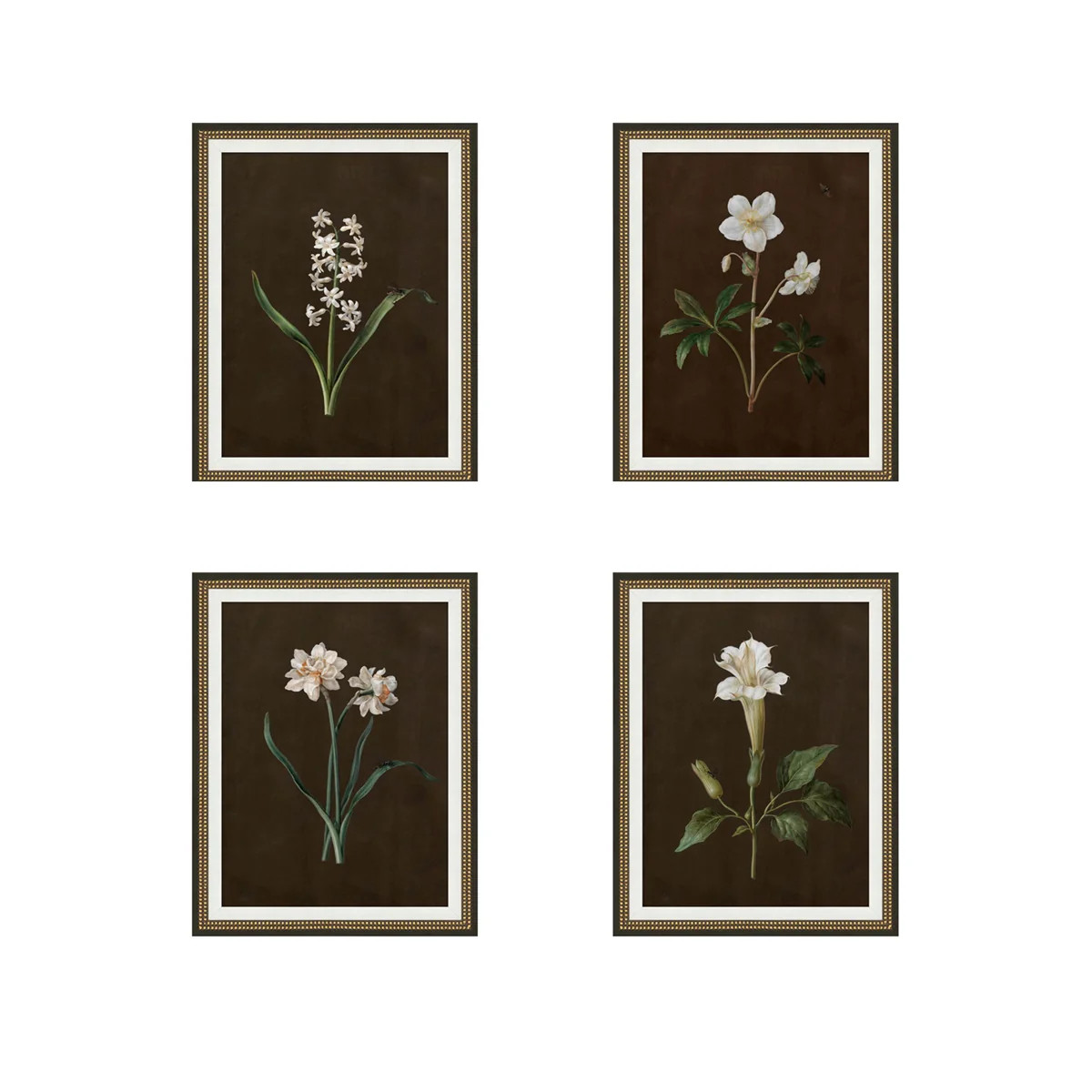 Floral Studies | Tuesday Made