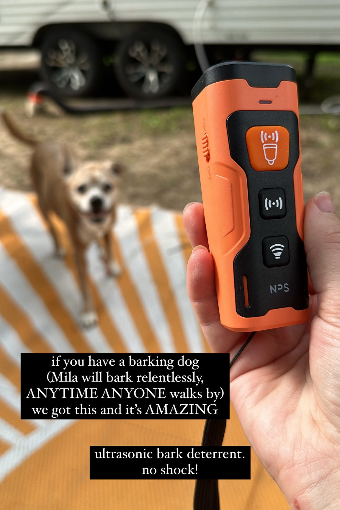 dog training, bark deterrent, no barking, no shock collar, ultrasonic dog training. 



#LTKFamily #LTKTravel #LTKSaleAlert