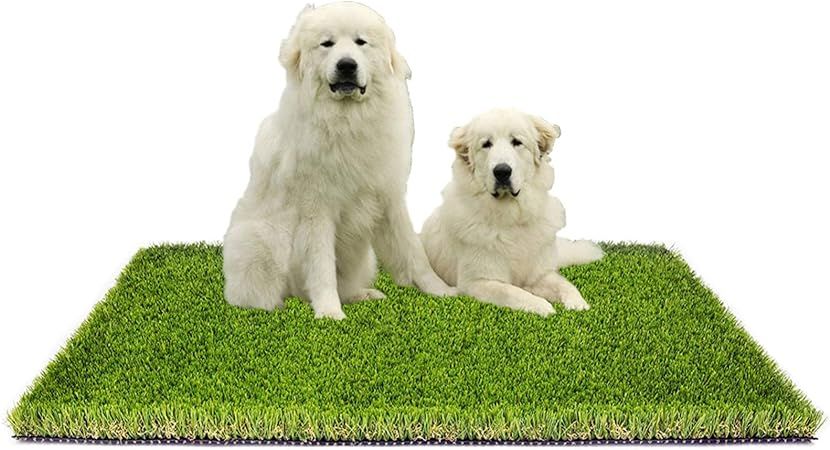 MTBRO Artificial Grass, Dog Grass Mat, Outdoor Pet Potty Grass, Artificial Turf for Patio, 3 Feet... | Amazon (US)