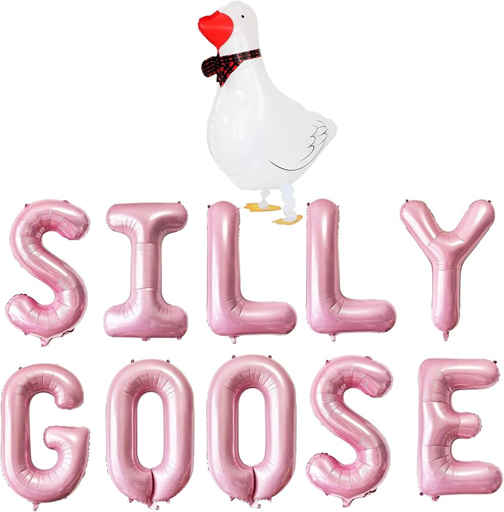 Silly Goose Pink Balloons Birthday Party Decor, 16 Inch Foil Silly Goose Balloon and Walking Goos... | Amazon (US)