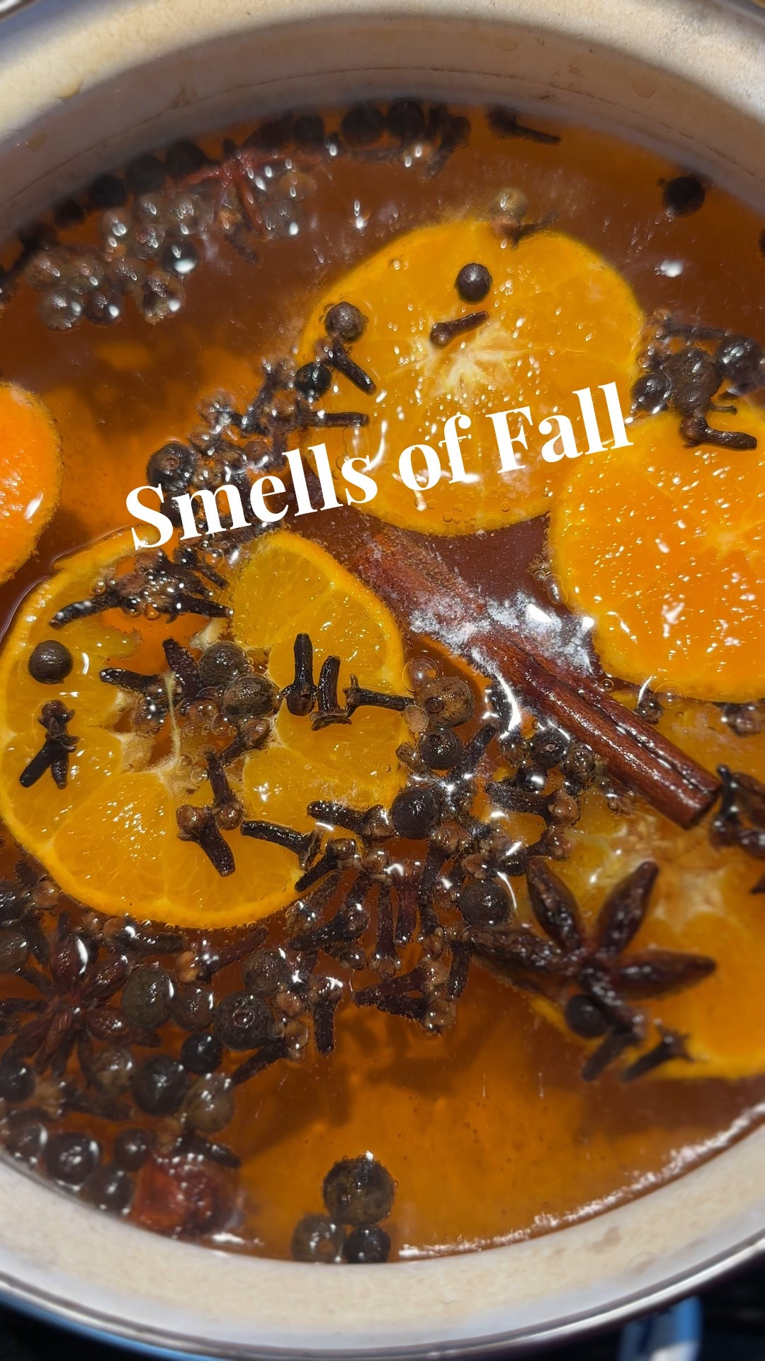 Simmer Pot Season is here. Stock up now to keep your house smelling like fall throughout the season. 



#LTKHome #LTKSeasonal