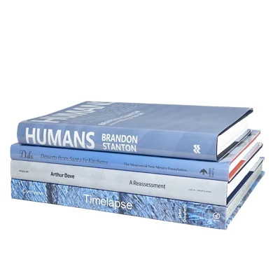 Ruken 11" W Modern Paper Decorative Books | Wayfair North America