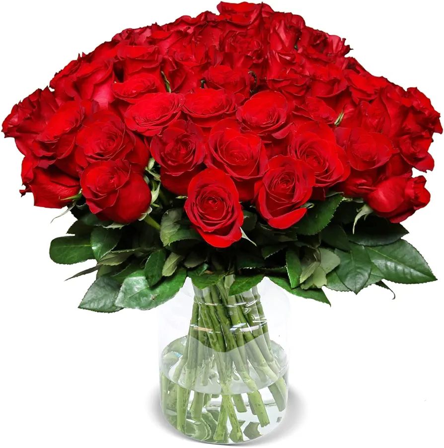 Rosenstrauß, 40 rote Rosen, Rosen, frische Rosen, Floristen Qualität, 40 cm Stiellänge, Schnit... | Amazon (DE)