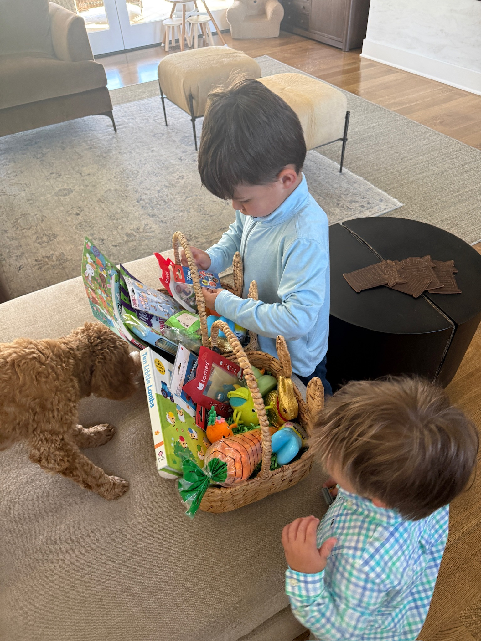 The Easter bunny made an appearance 🐰🥕

Easter basket, target, @Target, @Crate & Barrel, Amazon, Amazon toys, Amazon Easter basket, Easter stuffers, basket stuffers, gift guide, toddler gifts, Grace white

#LTKKids #LTKHome #LTKSeasonal
