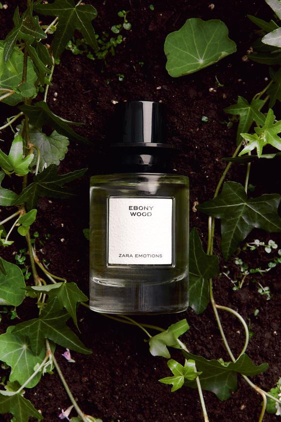 EBONY WOOD EDP 100 ML (3.4 FL. OZ). | Zara US
