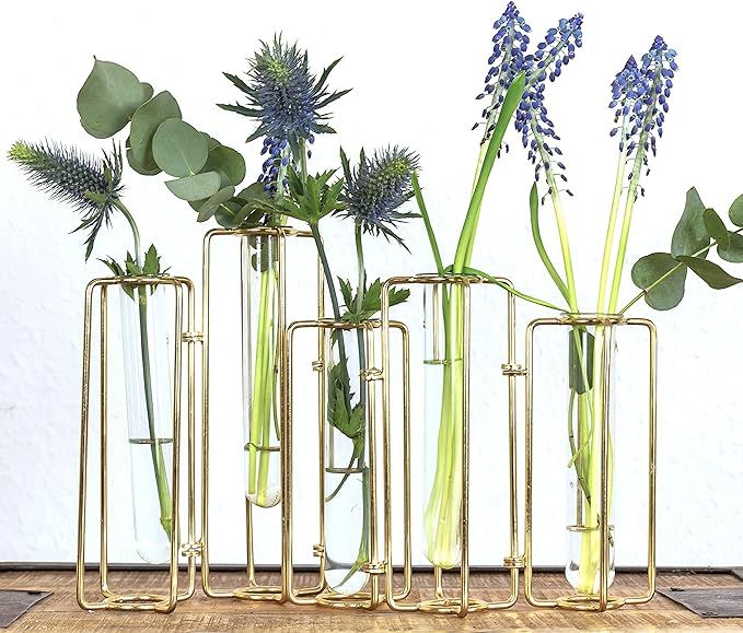 Hinged Bud Vase Set 5, Clear Glass Cylinder Vases for Centerpieces, Round Single Flower Decor, Go... | Amazon (US)