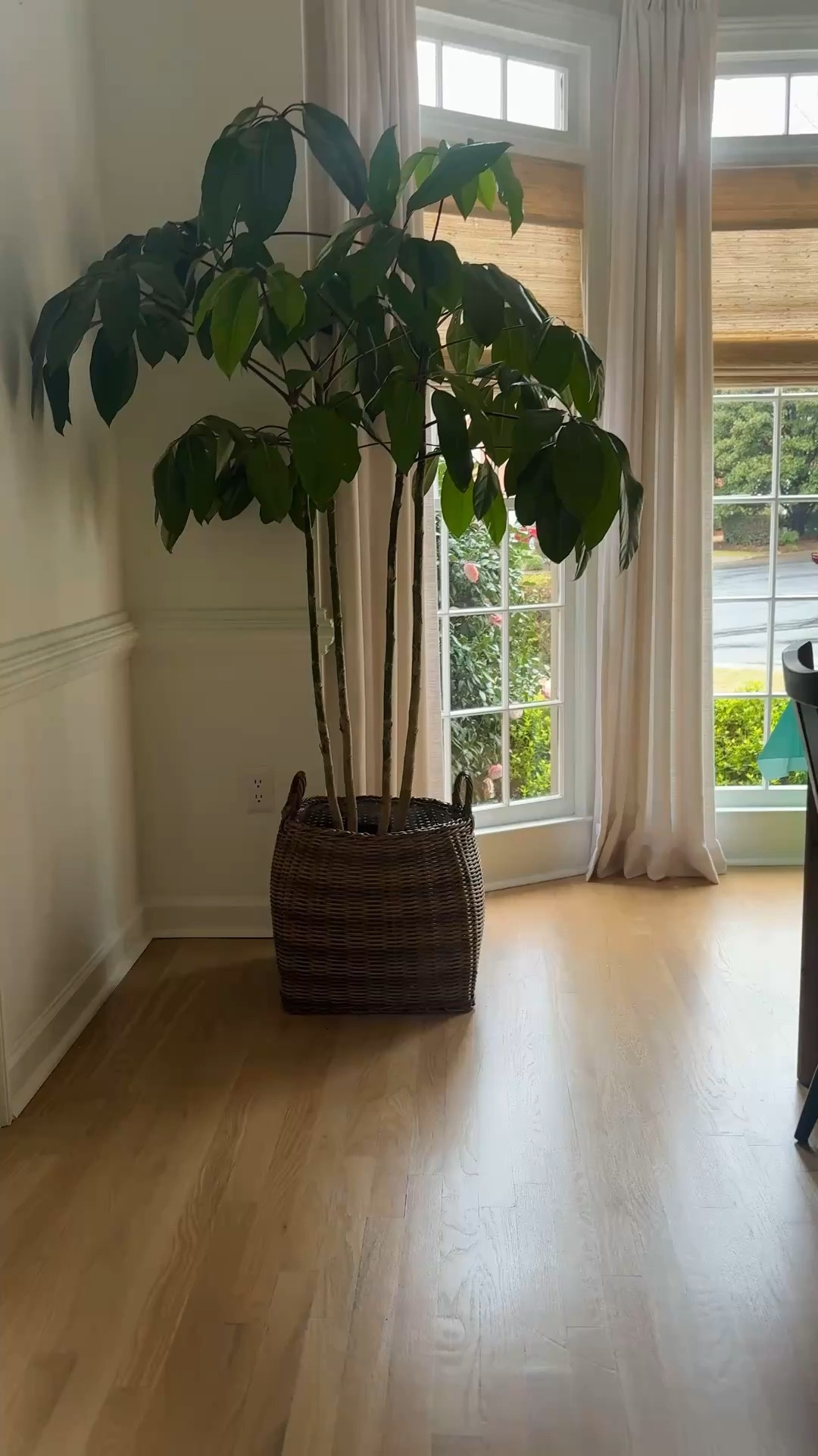 🌿linking this planter (2 size options) and others …

Yall know I love McGee and co. I wanted to share just this one single item of theirs because I think it’s my fave. It’s beautiful, looks like real wicker but it’s not so you can use it outdoors! It also comes with the plastics insert which I think is genius! It’s an investment piece but so worth it with the sale right now! 

#McgeeAndCo #Planter #OutdoorPlanter #IndoorPlanter #PorchDecor #OutdoorSale

#LTKHome #LTKSeasonal #LTKSaleAlert