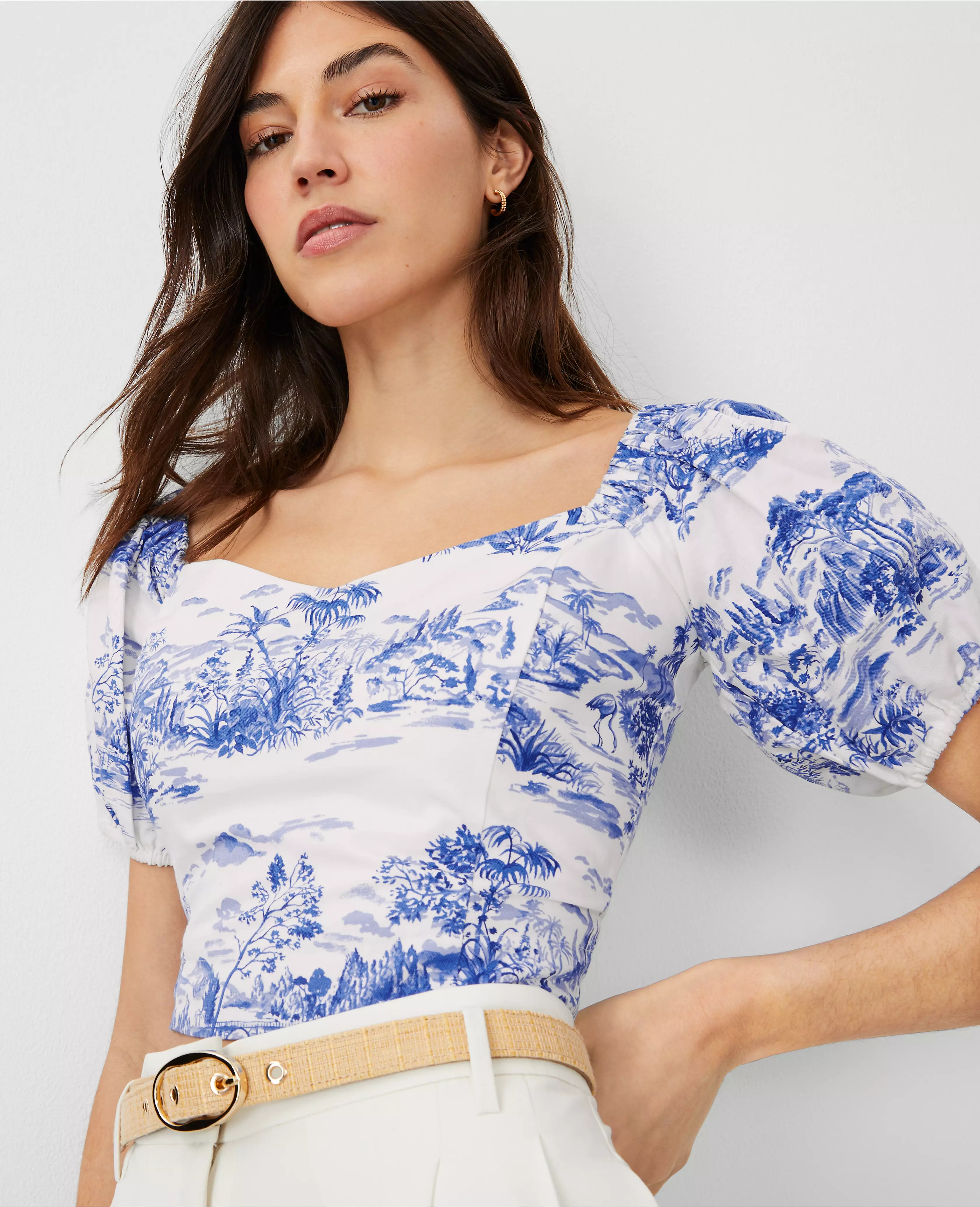 Toile Puff Sleeve Top | Ann Taylor (US)