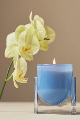 Found Notes Floral Yuzu & Neroli Candle | Anthropologie (US)