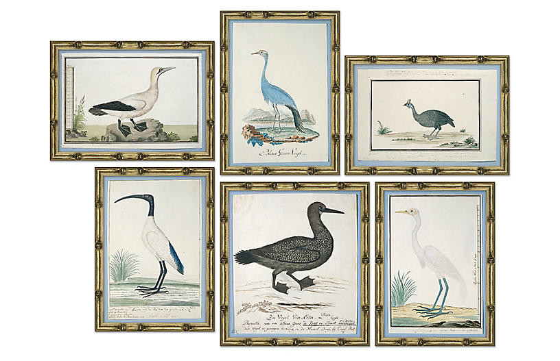 S/6 Bird Studies | One Kings Lane