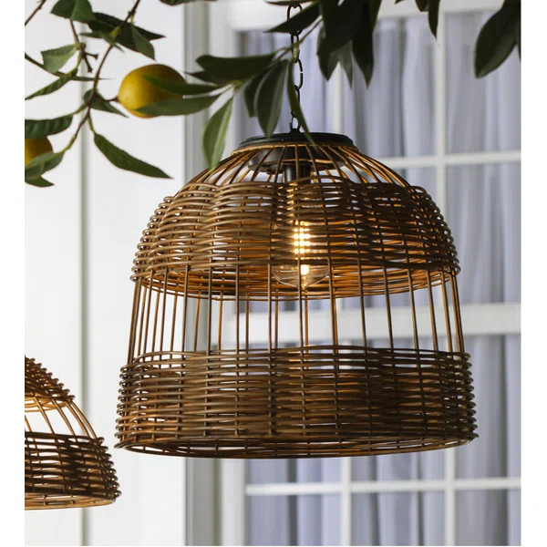 Haan Outdoor Pendant | Wayfair North America