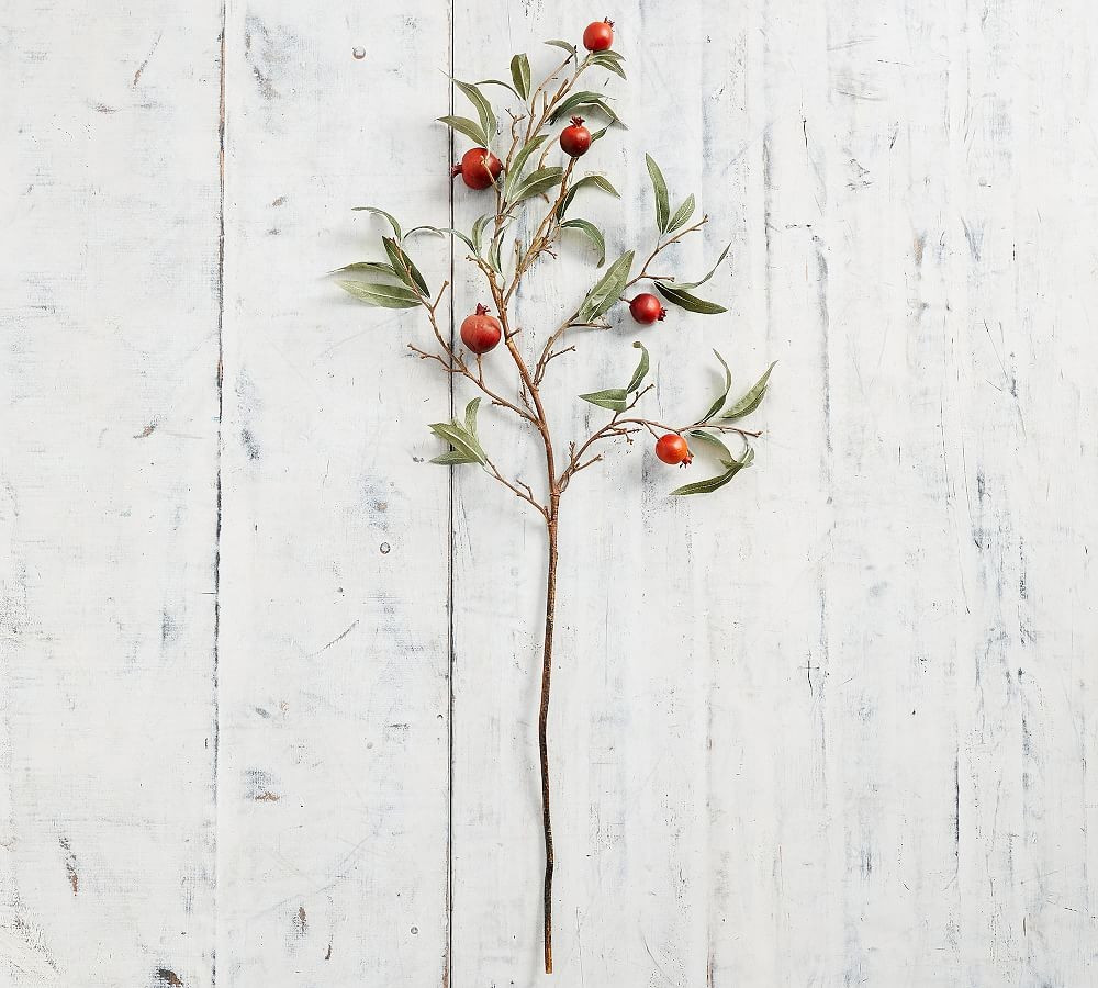 Faux Pomegranate Tree Branch, Red, One | Pottery Barn (US)