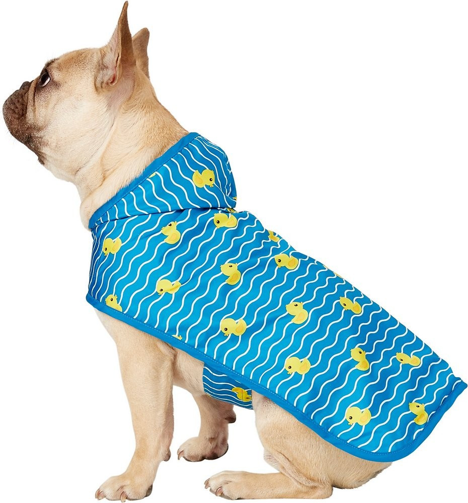 Frisco Rubber Ducky Dog Raincoat, Medium | Chewy.com