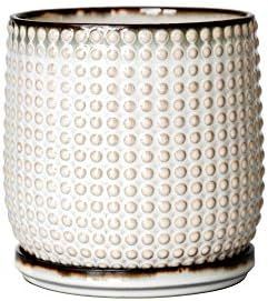 5 Inch Beaded Stoneware Planter Pot with Drainage Hole and Saucer, Smoked White | Amazon (US)