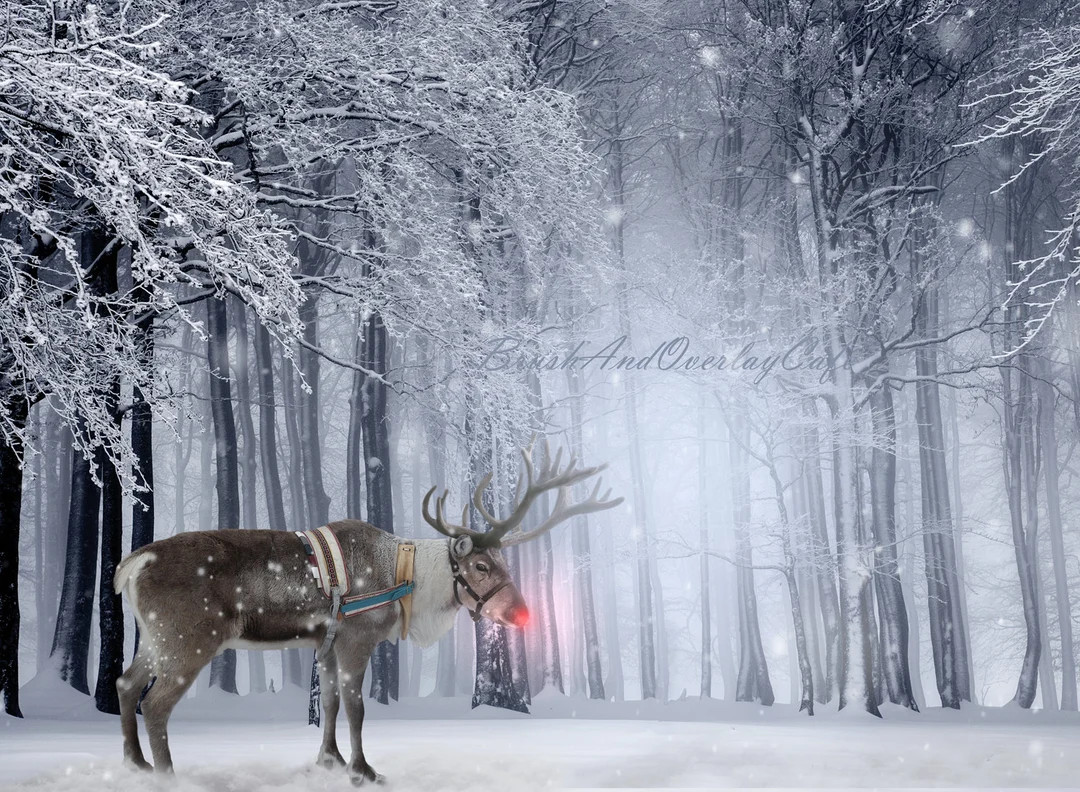 Rudolph the Red Nosed Reindeer Christmas Holiday Digital Backdrop, Digital Download, Digital Back... | Etsy (US)