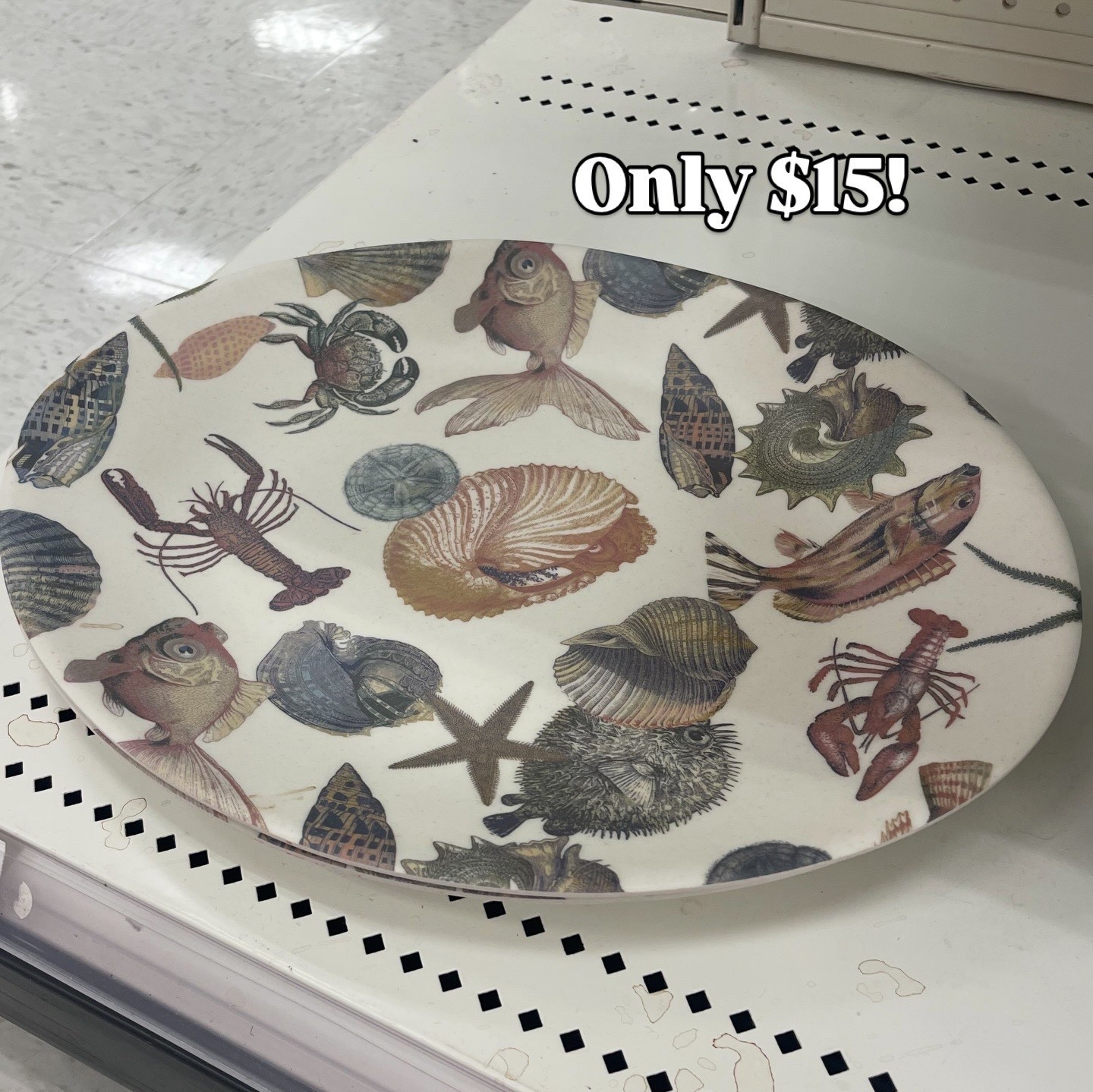 Melamine seashell serving platter only $15!

Outdoor hosting, melamine sets, melamine serving dishes 