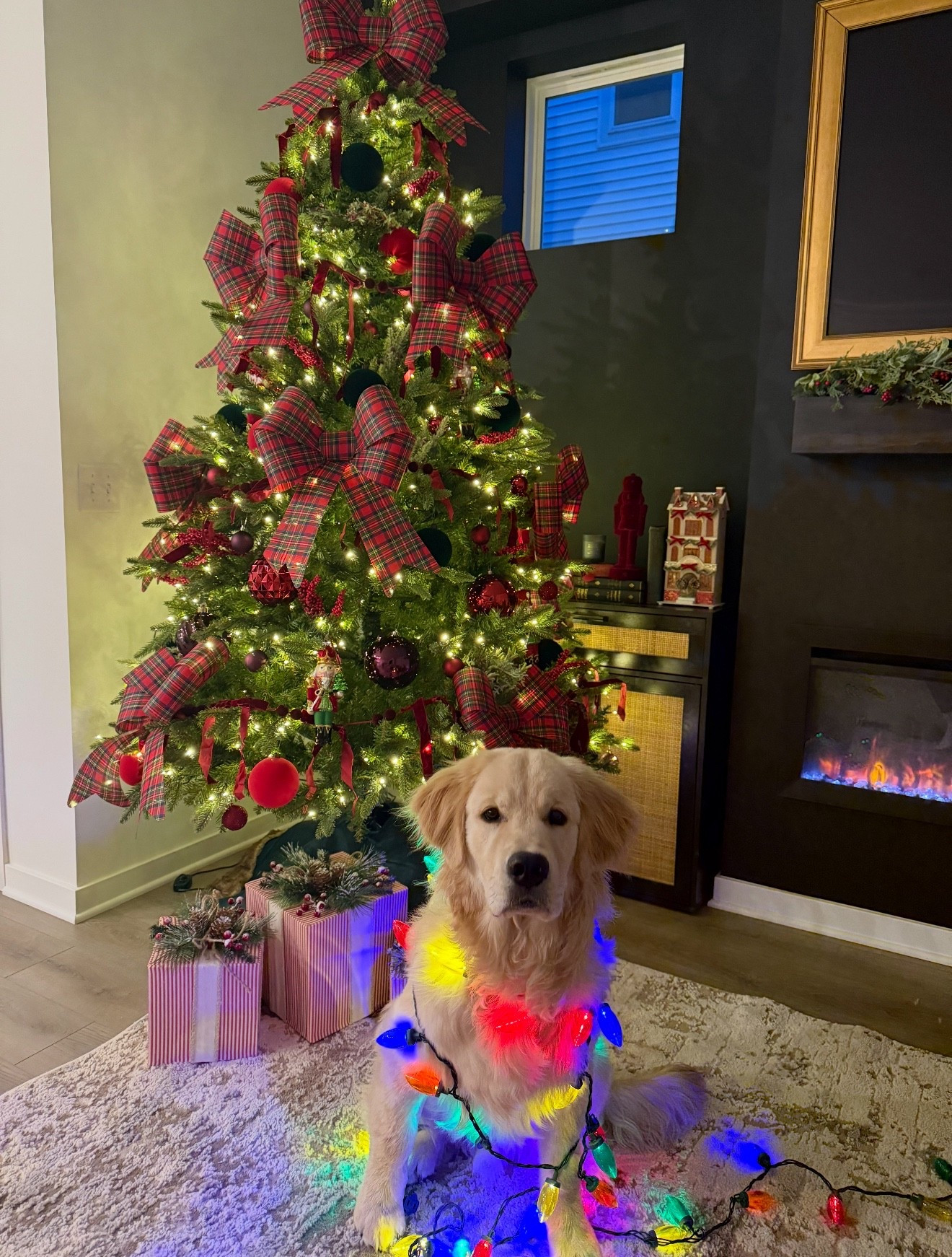 Sunny is loving his first Christmas tree 🥹🎅🏼🎄 #holidayseason #christmastree #dogsofinstagram #festivevibes #holidaymagic #cozychristmas #petphotography #christmaslights #holidaymoments #wintervibes #ltkaesthetic #ltkholiday #christmasdecor #dogmomlife #holidayszn

#LTKHoliday #LTKmomlife #LTKSeasonal