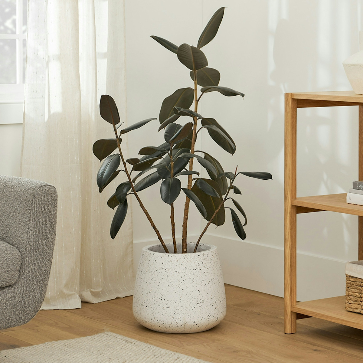 Tuva Indoor/Outdoor Narrow Planter - White Terrazzo | Article