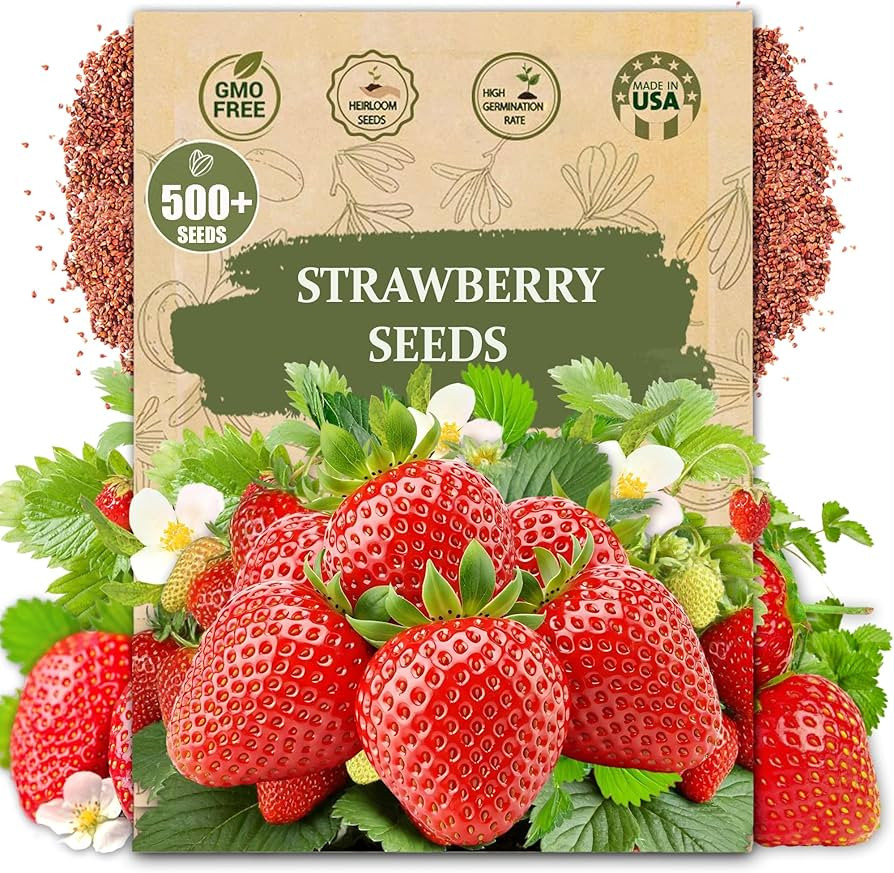 Rare Strawberry Seeds for Planting - 500 Fragaria × Ananassa Non-GMO Heirloom Seeds - Extra Big,... | Amazon (US)