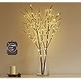 Hairui Lighted Brown Branches Battery Operated with Timer 30IN 100 LED Fairy Lights, Willow Branc... | Amazon (US)