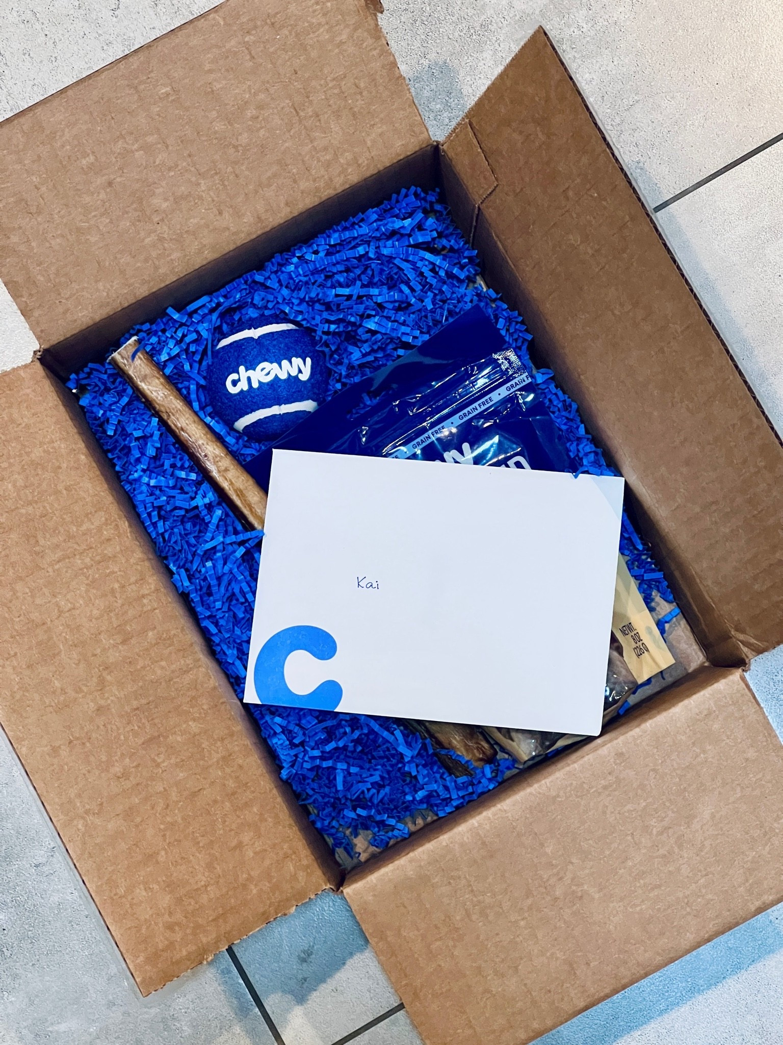 When your dog gets surprise gifts 🥹🫶🏻 thank you Chewy! #giftedbychewy #chewygifted #pets