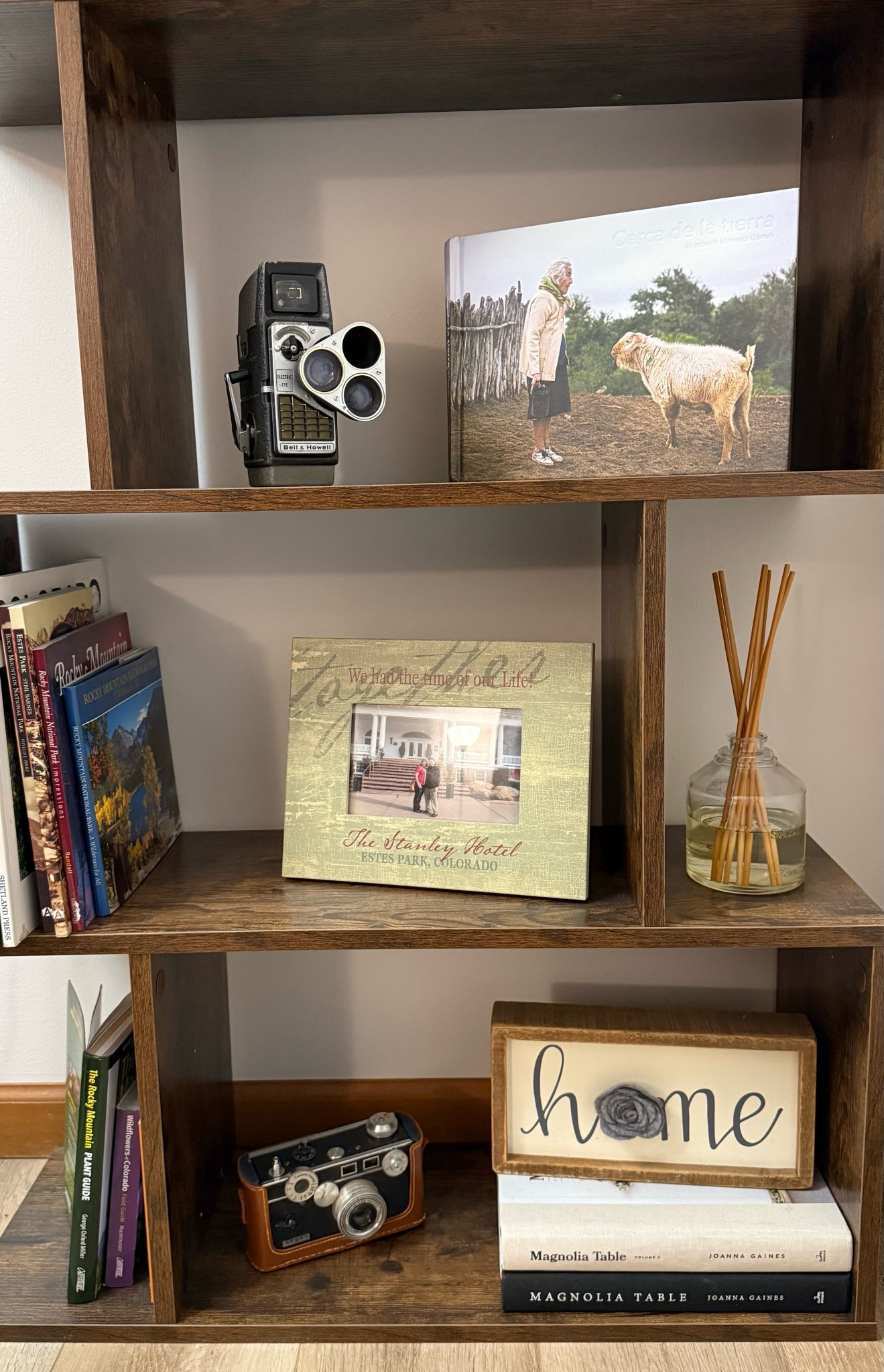 I’ll always decorate with what we already have first.

Both cameras were my husband’s grandpa’s, and the book on the top shelf was written and photographed by a friend from college. Those pieces mean more than anything I could buy.

I just layer a few affordable finds around them to pull everything together.

Sharing the items I can link here.

@Target @Wayfair 

#LTKstorytime #LTKHome #LTKdayinmylife