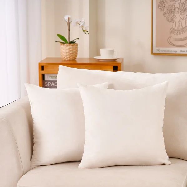Christella Square Velvet Pillow Cover (Set of 2) | Wayfair North America