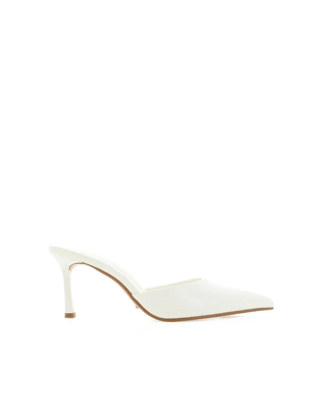 XAYDEN - FROST | Billini (US)