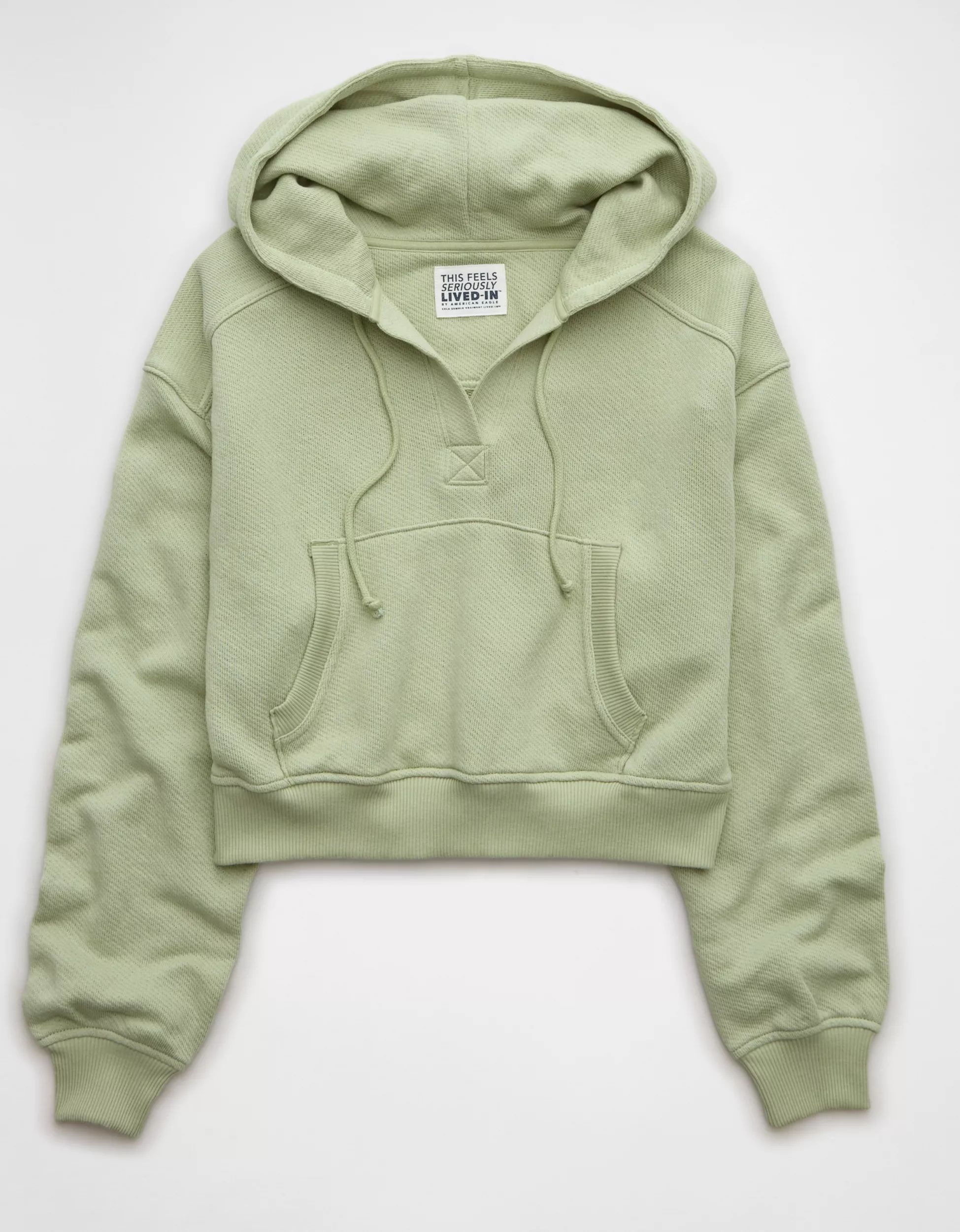 AE Shrunken Hoodie | American Eagle Outfitters (US & CA)