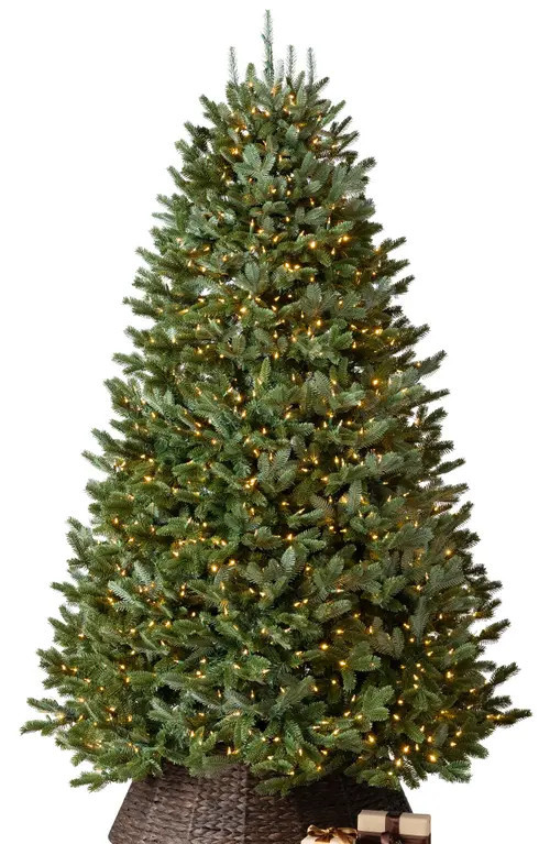 Balsam Hill BH Fraser Fir® Pre-lit Artificial Tree in Led Clear at Nordstrom, Size 7.5Ft | Nordstrom