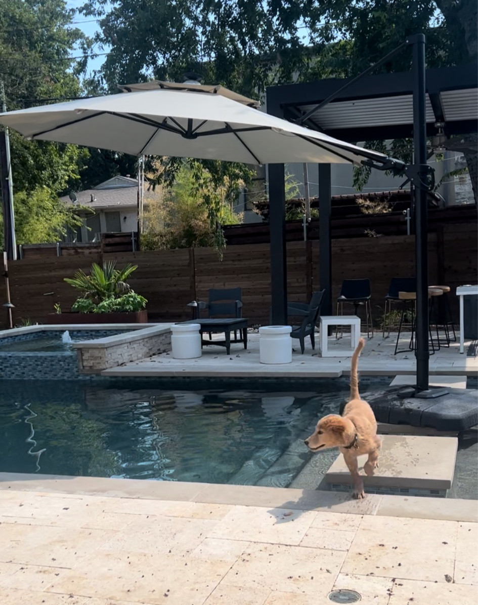 Outdoor umbrella 

Patio furniture, patio, home, outdoor furniture, large outdoor umbrella, pool umbrella, patio umbrella, patio, patio furniture 

#LTKSwim #LTKHome #LTKSaleAlert