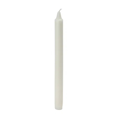 Zest Candle Straight Taper Candle & Reviews | Wayfair | Wayfair North America