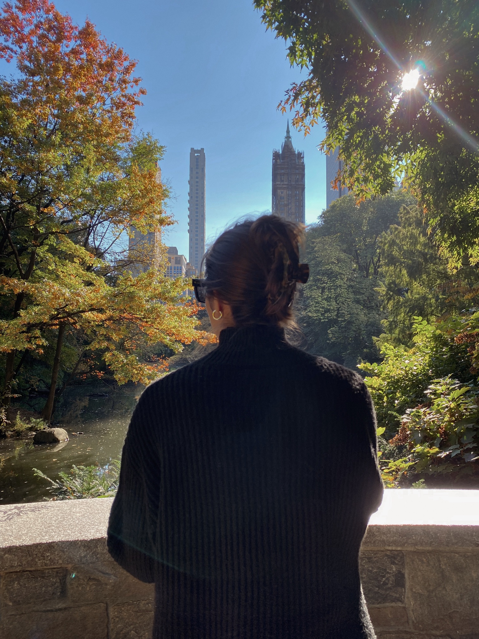 Black turtleneck sweater 

#LTKFindsUnder100 #LTKSeasonal #LTKFindsUnder50