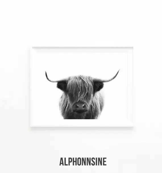 Highland Cow Print, Black and White Photography, Southwestern Decor, Highland Cow Art Download, N... | Etsy (US)
